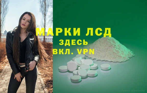индика Дмитровск