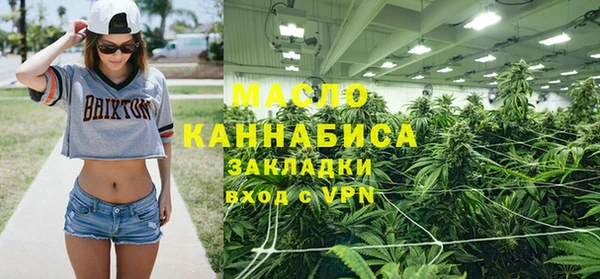 индика Дмитровск