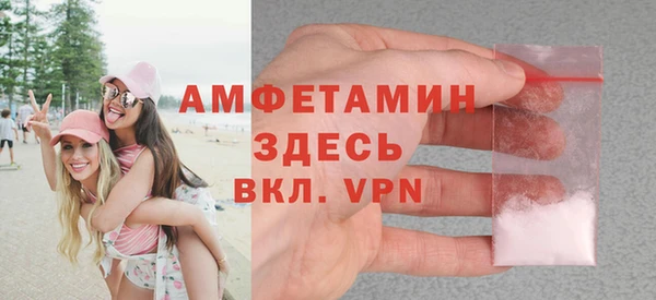 индика Дмитровск