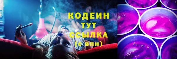 индика Дмитровск
