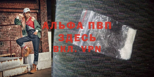 индика Дмитровск