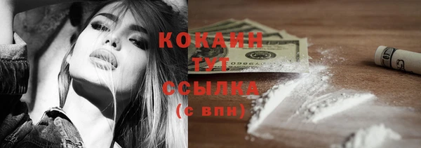 индика Дмитровск