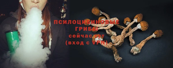 индика Дмитровск