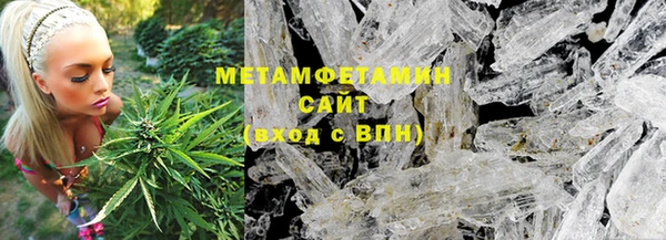 индика Дмитровск