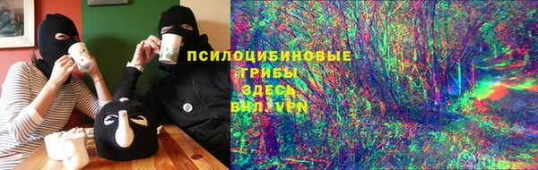 индика Дмитровск