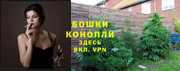 таблы Дмитриев