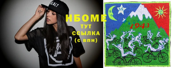 индика Дмитровск