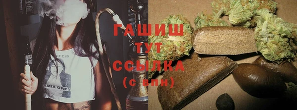 индика Дмитровск
